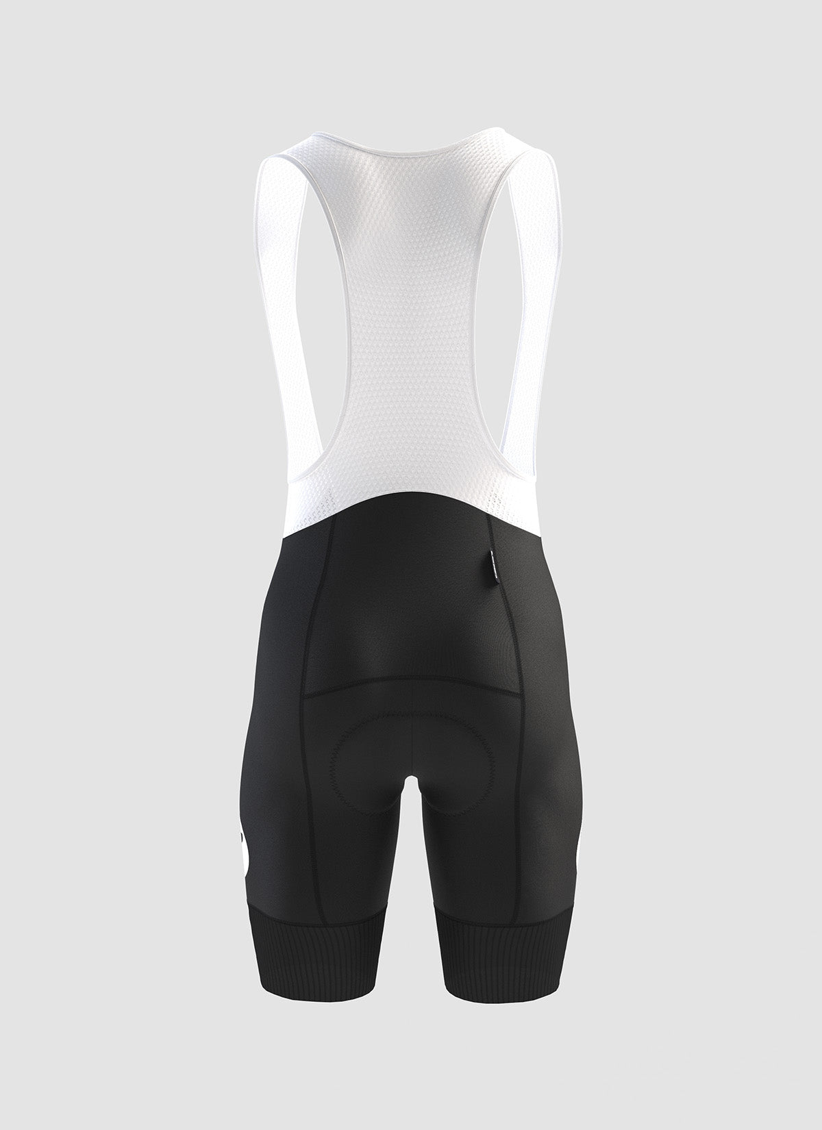 Tour Bib Shorts