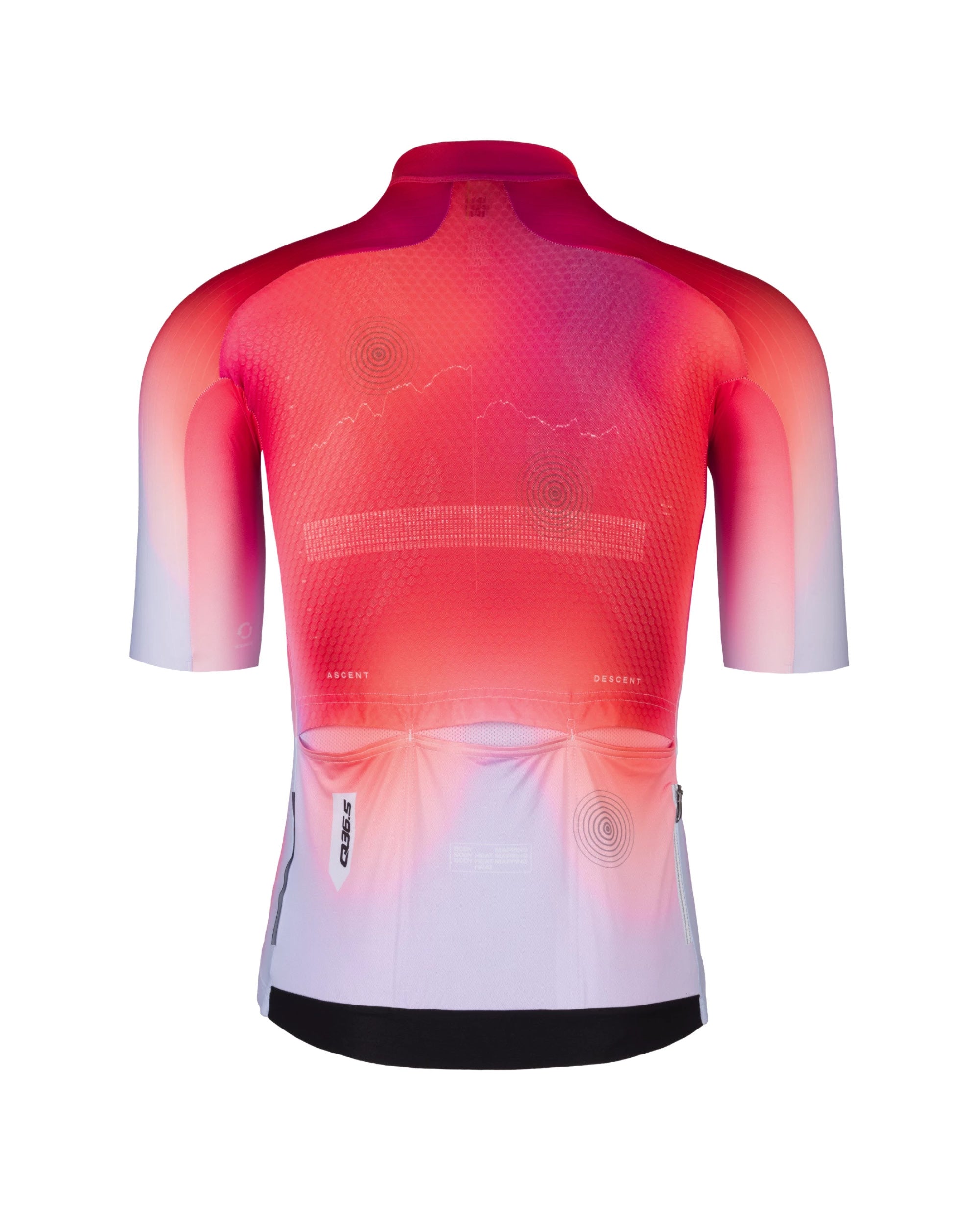 Gregarius Pro QLAB Jersey