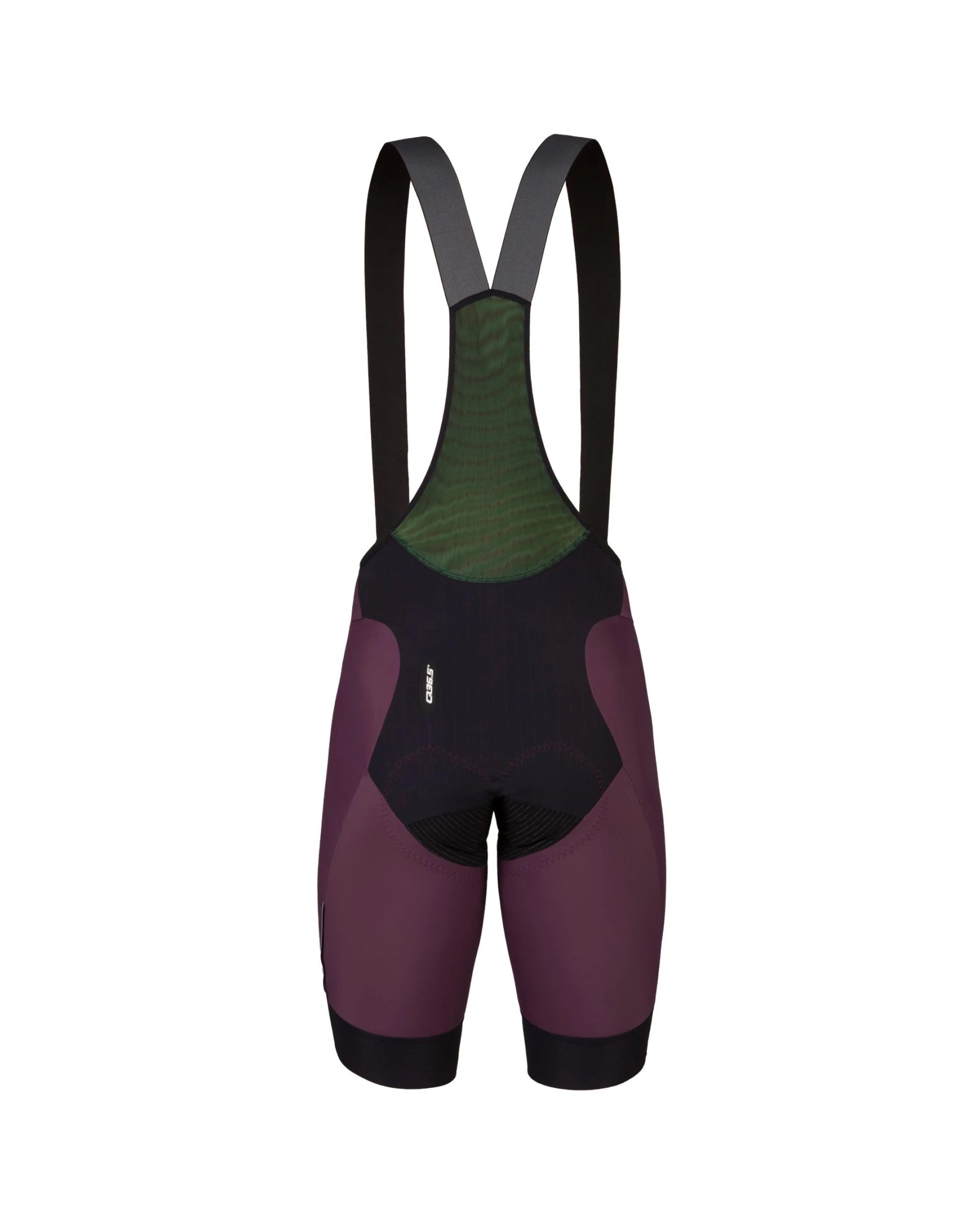 Gregarius Pro Bib Shorts