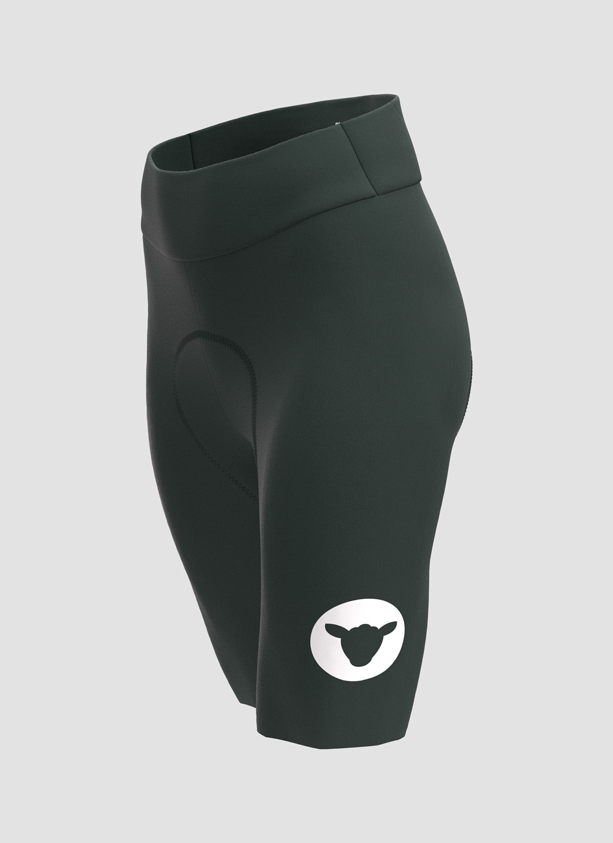 WMN Integrated Shorts