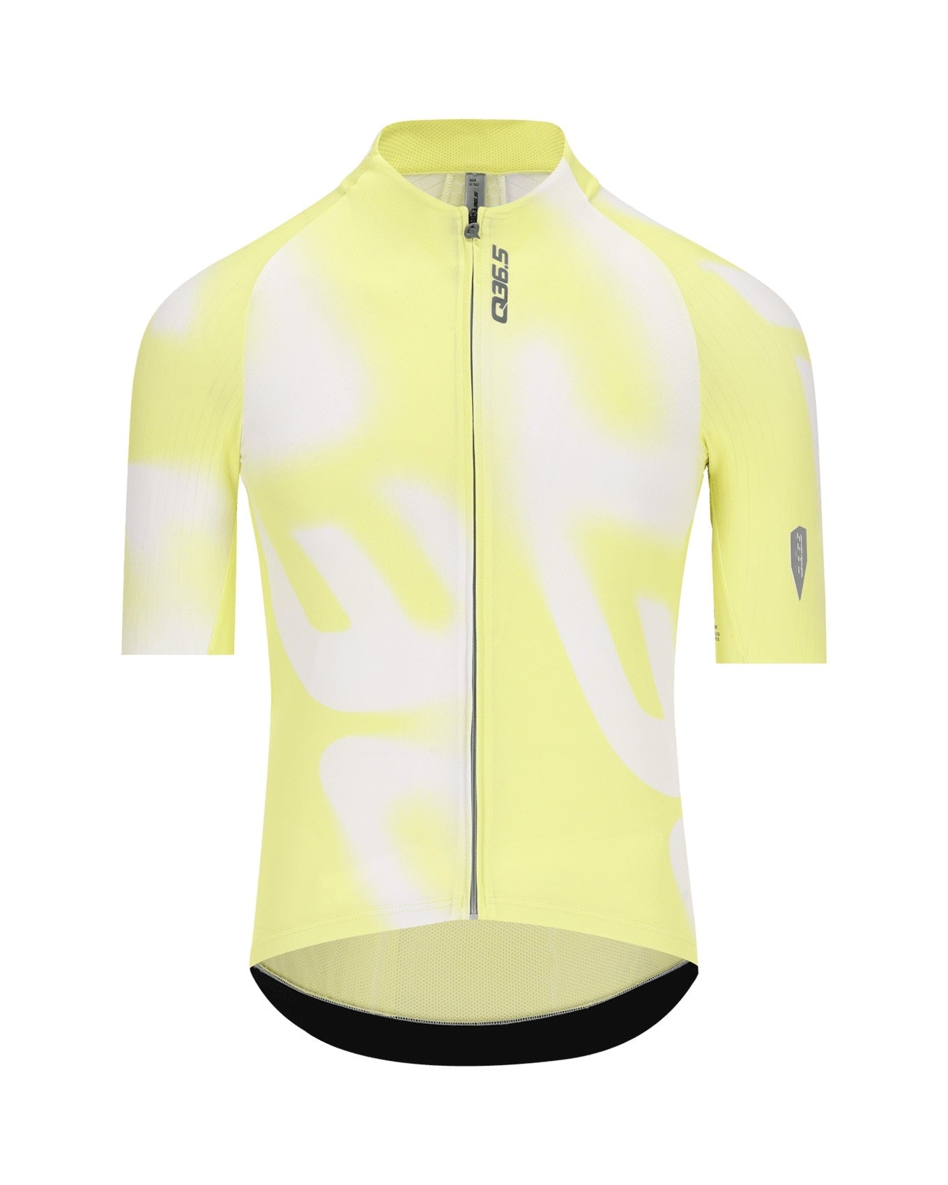 Gregarius Pro Big Logo Jersey