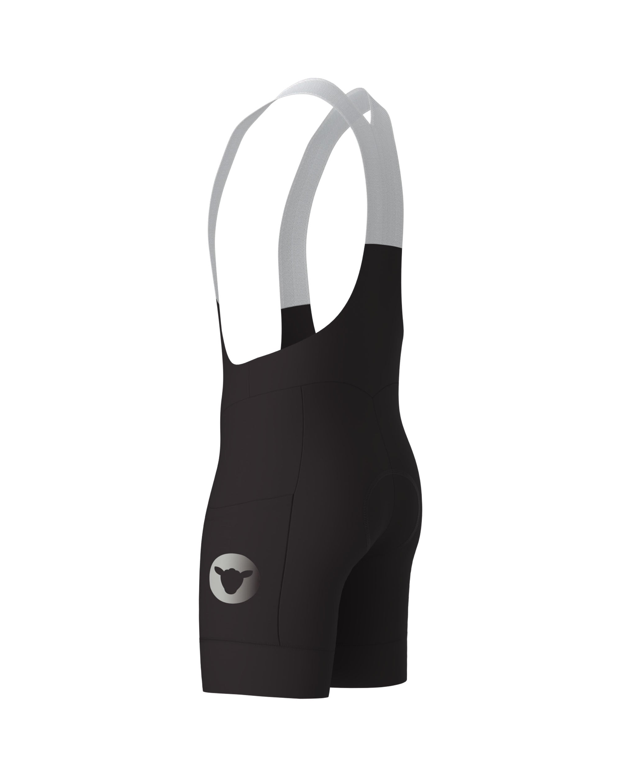 Cargo Bib Shorts