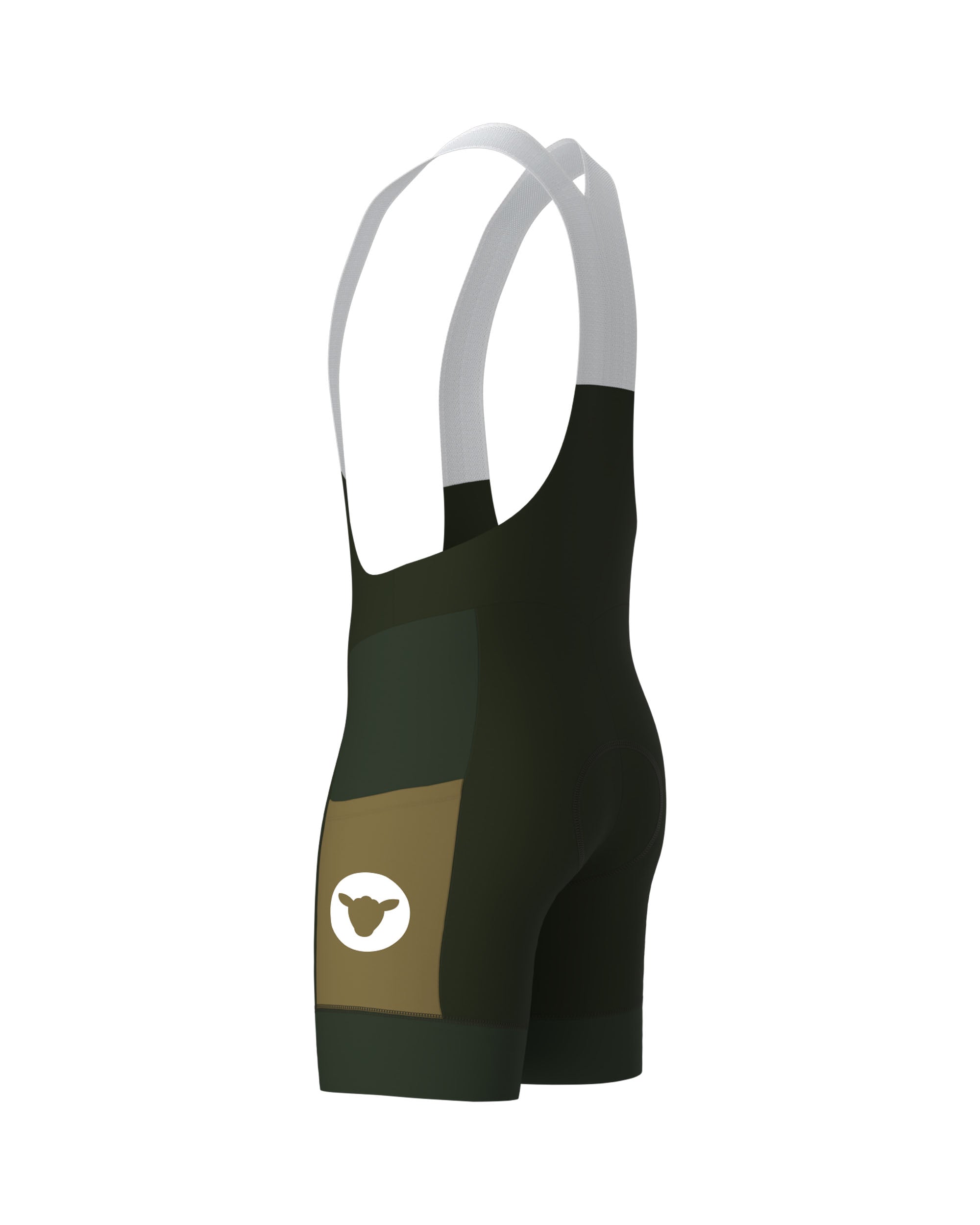 Cargo Bib Shorts