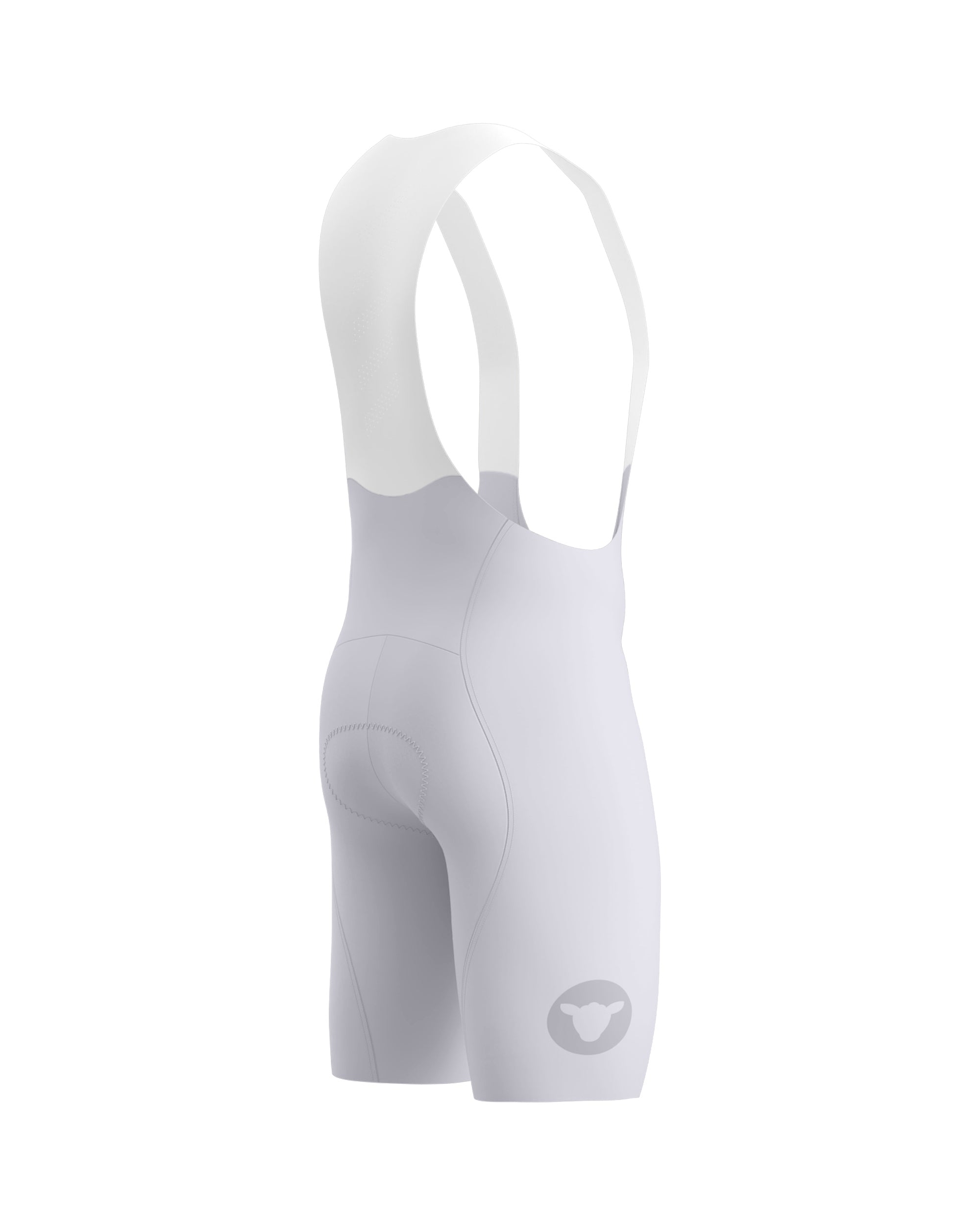 Team Bib Shorts