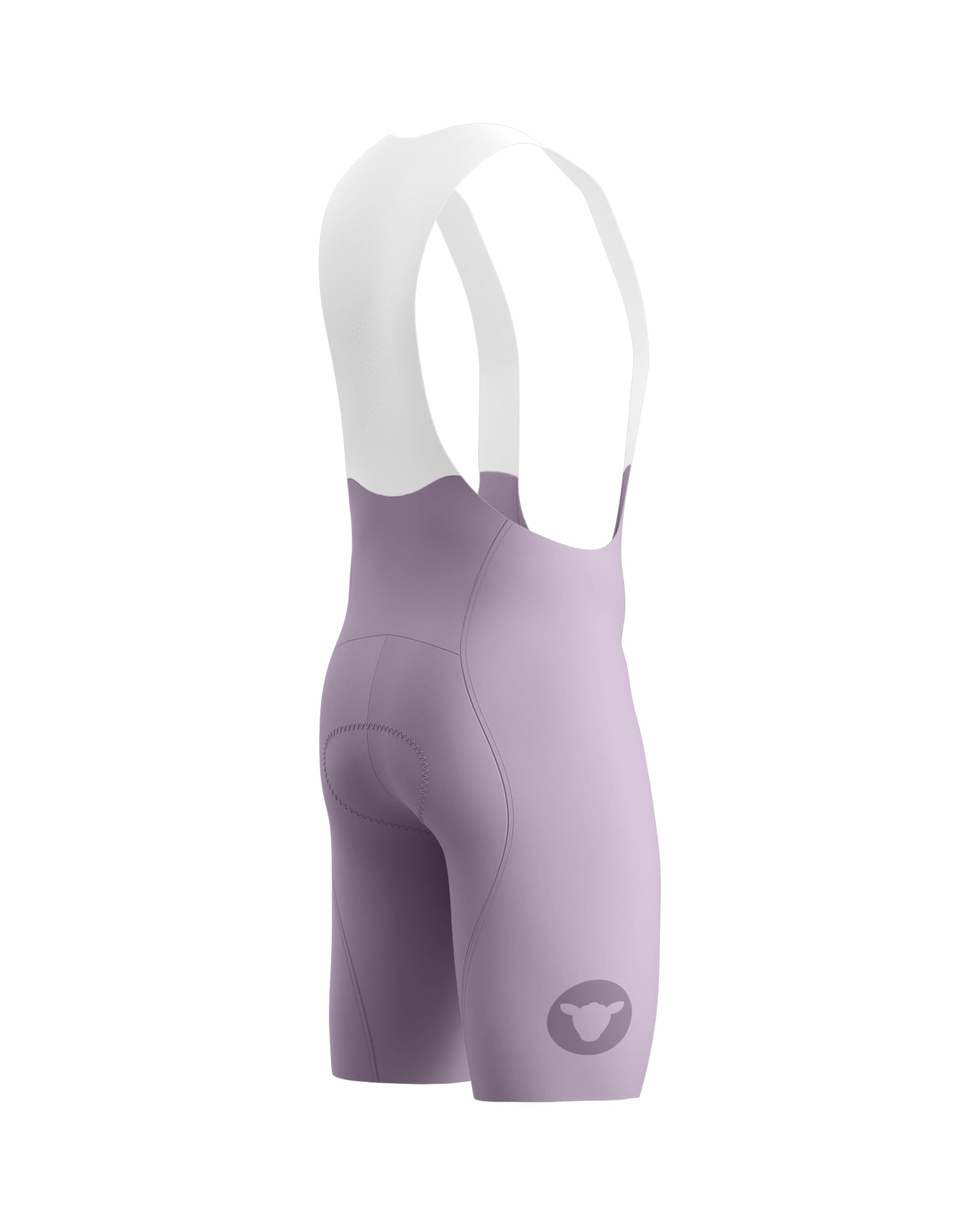 Team Bib Shorts