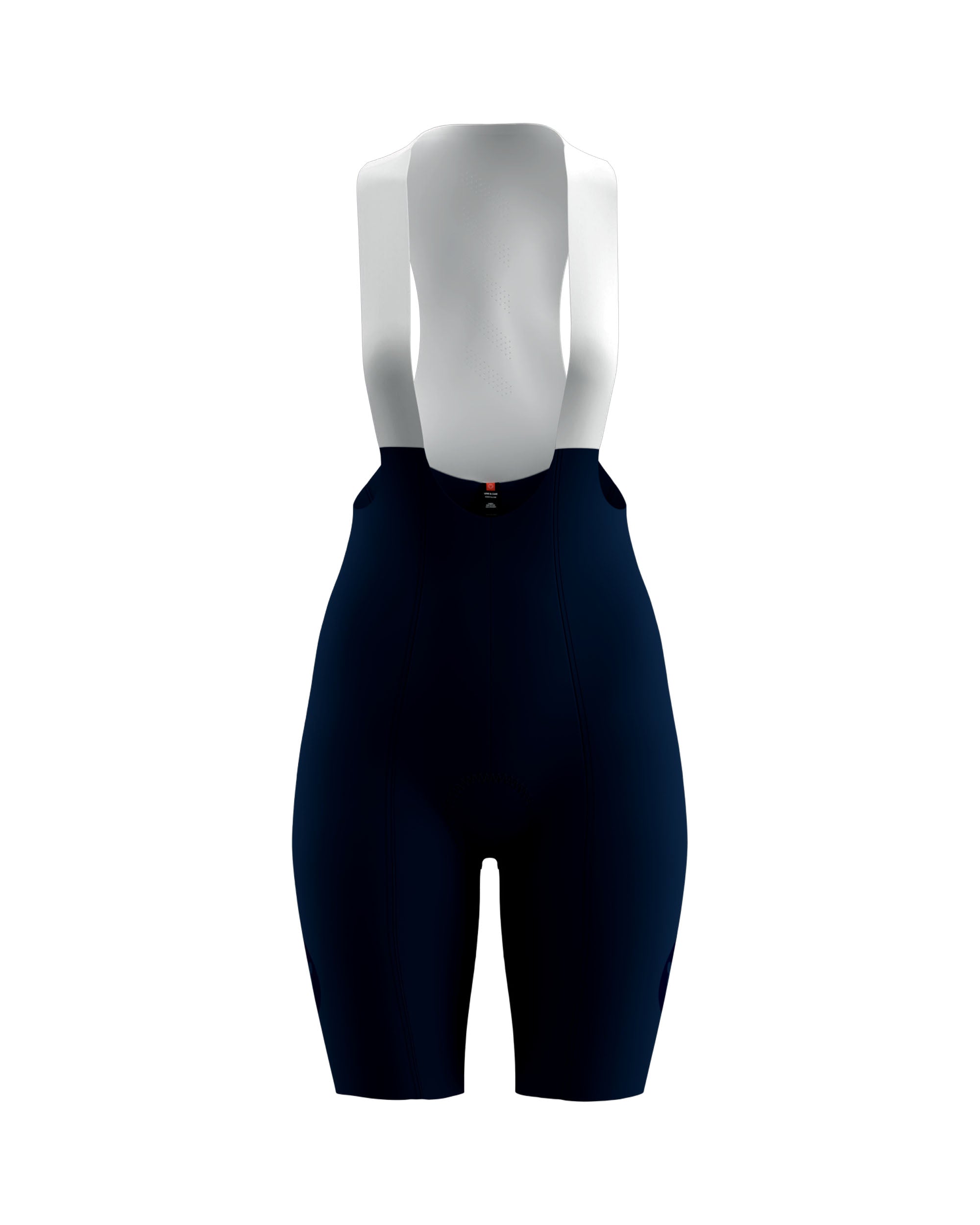 Team 10" Bib Shorts