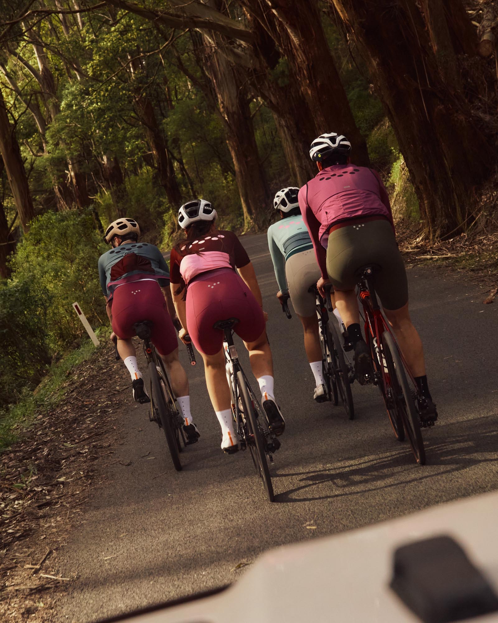 Essentials SuperFIT 2.0 Bib Shorts