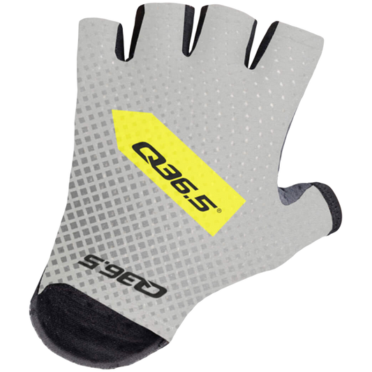 Q36.5 Pro Cycling Team Gloves