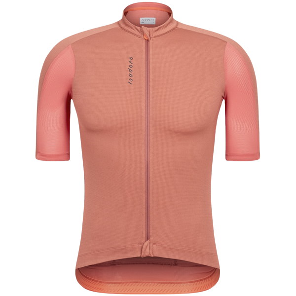 Isadore Signature Merino Tech Jersey in Cedar Wood for Men – DSTNC