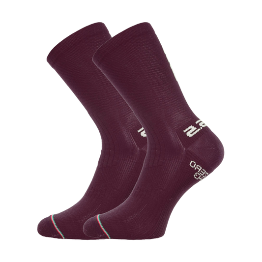 PrimaLoft® Silk Winter Sock (2 Pack)
