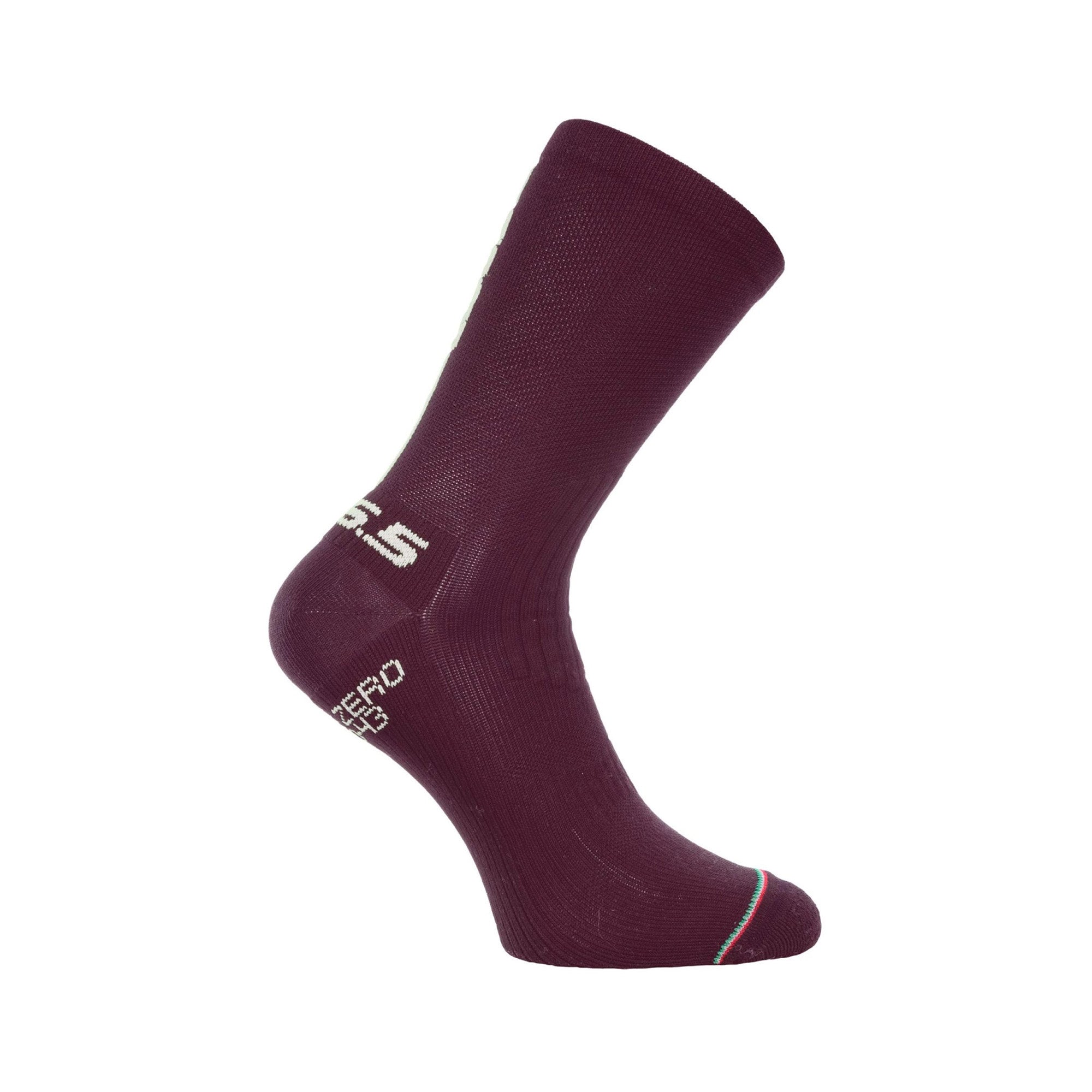 Deep Winter Silk Socks (2 Pairs)