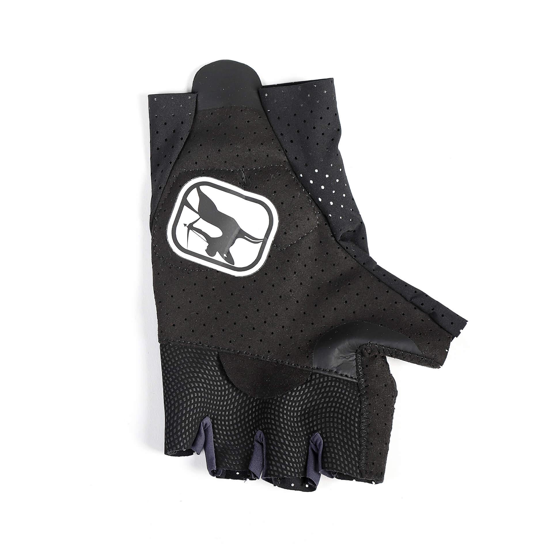 FR-C Pro Aero Lyte Gloves