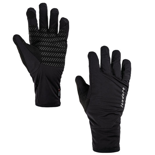 Winter Gloves